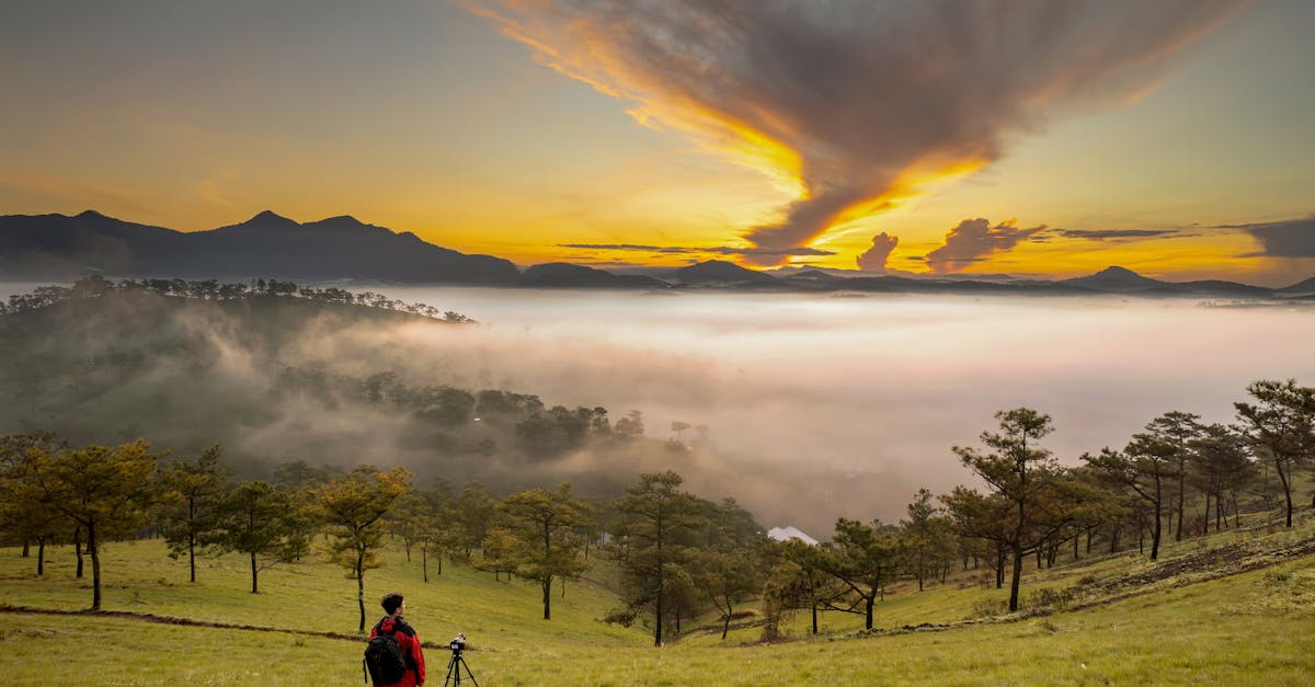 Capturing the Soul of Moving Water: A Waterfall Photography Guide