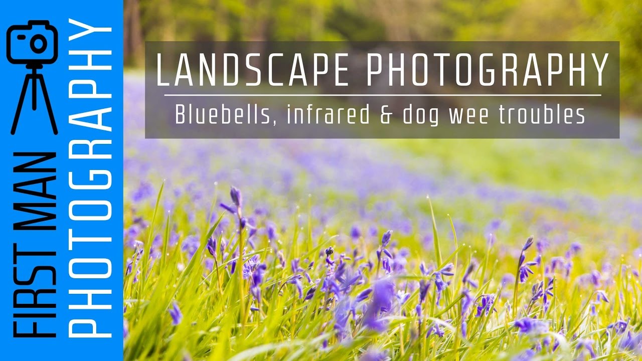 Chasing Bluebells at Dawn: Field Techniques for Woodland Wildflower Photography