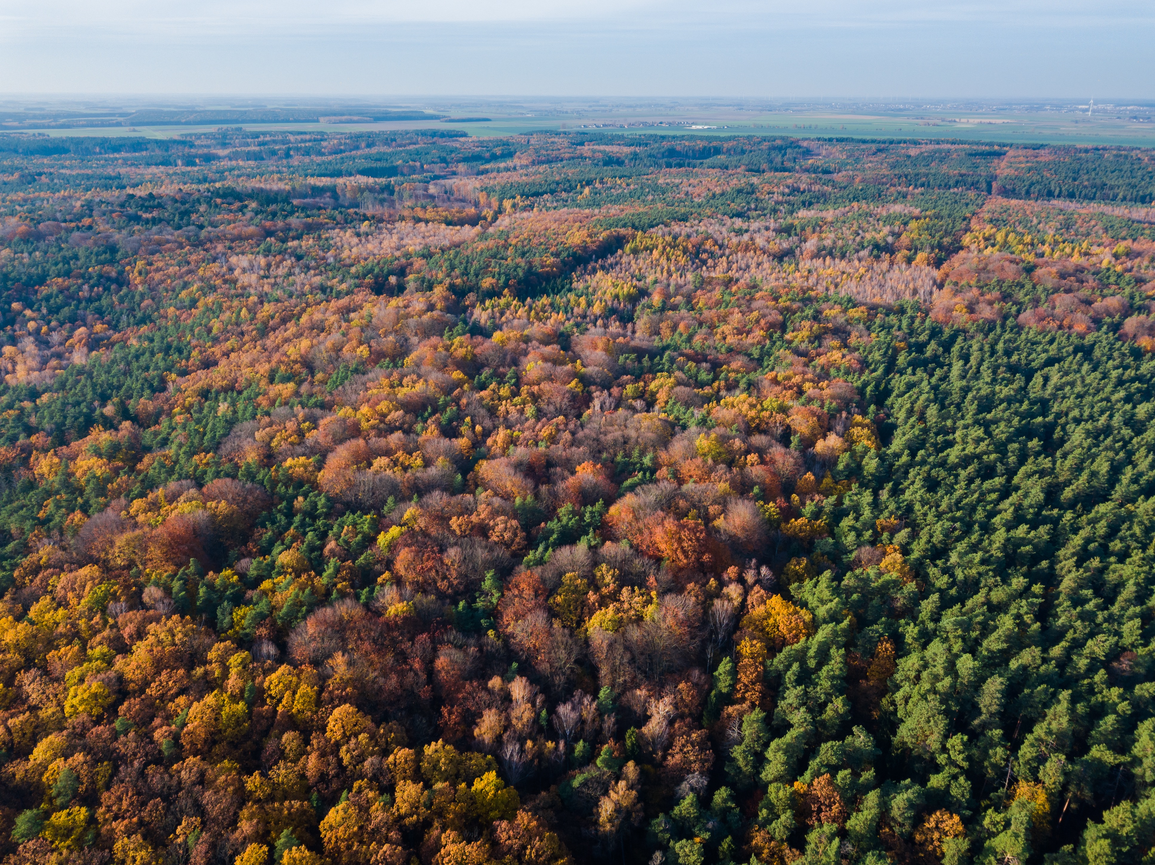 Chasing Light in the High Country: Mastering Mountain Photography