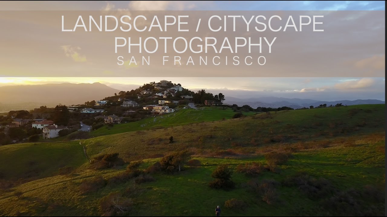 Chasing the Light on a Marin Hillside: Composition Lessons from Nigel Danson's San Francisco Shoot