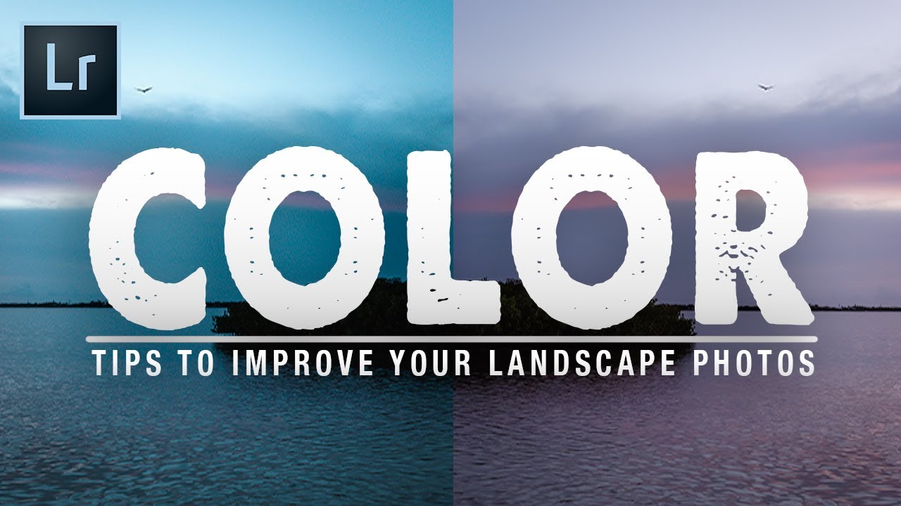 Color That Feels True: 7 Lightroom Tips From a Tutorial Worth Your Time