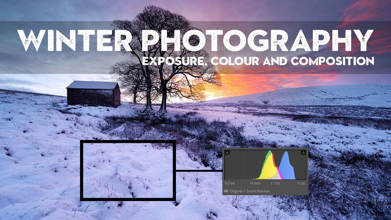 Don't Ruin Your Winter Snow Shots: A Field Guide to Nigel Danson's Approach