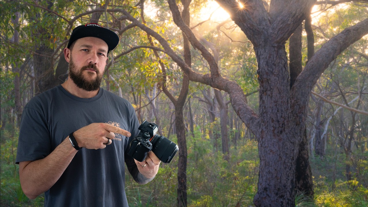 Finding Order in the Australian Bush: A Woodland Photography Walkthrough