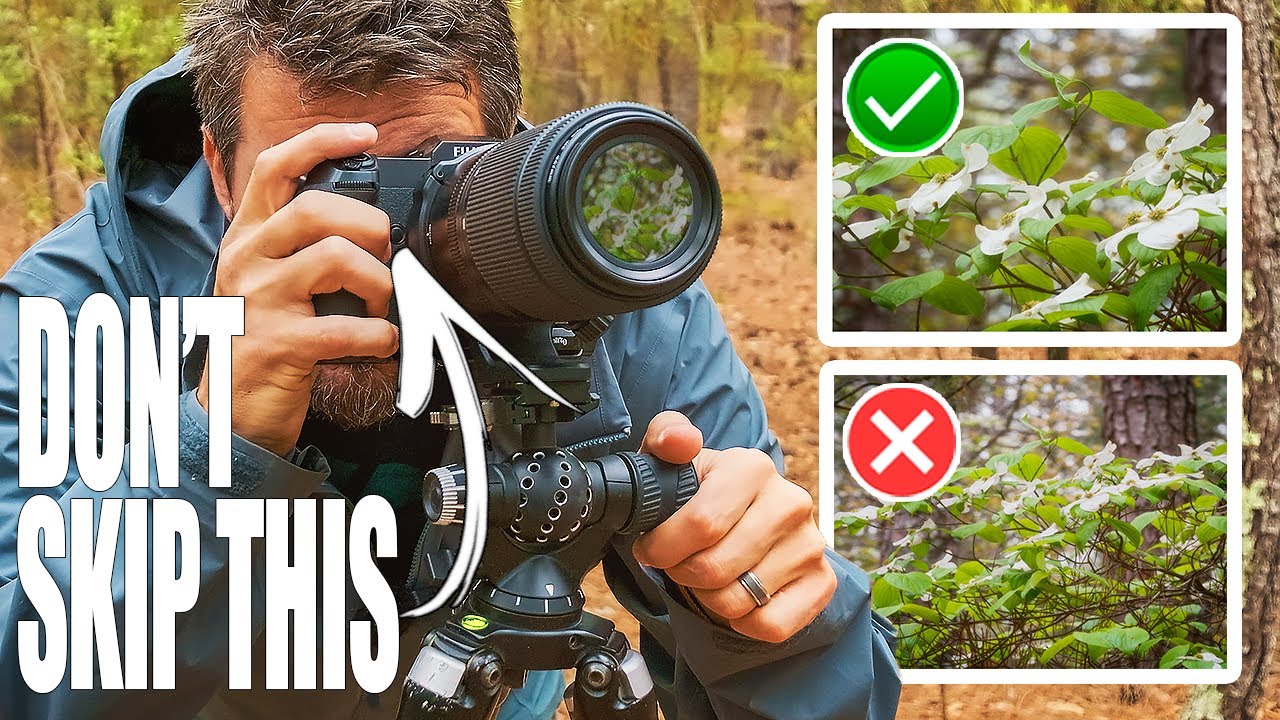 Five Camera Features I Stopped Ignoring (And Why My Forest Shots Finally Got Better)