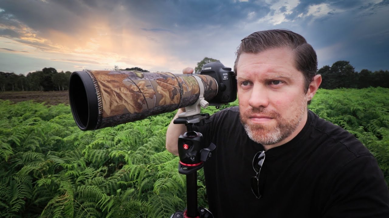 From Moorland to Print: What a Day in the Field with a 400mm Lens Taught Me About Patience and Settings