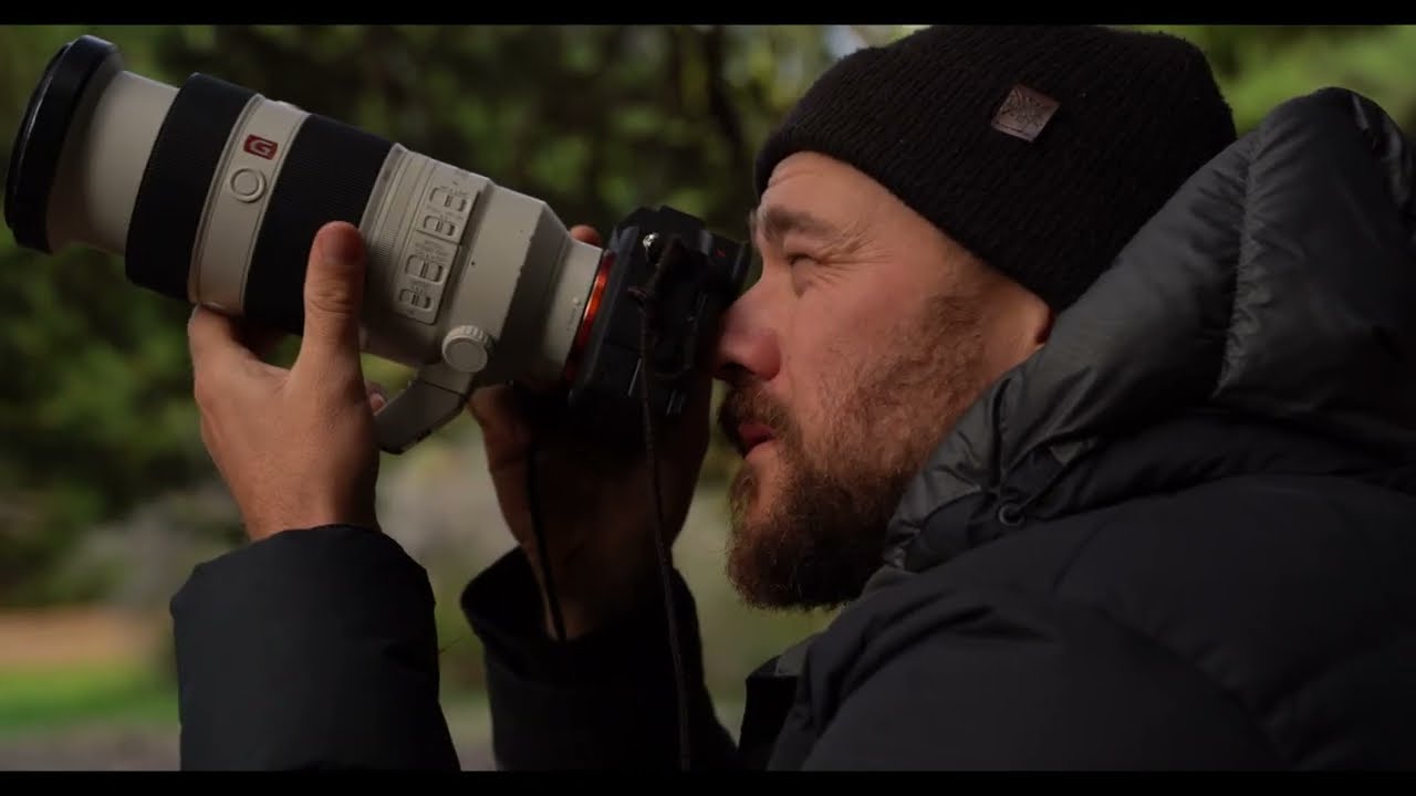 Great Local Park Photography: How to Find Compelling Images When Epic Landscapes Aren't an Option