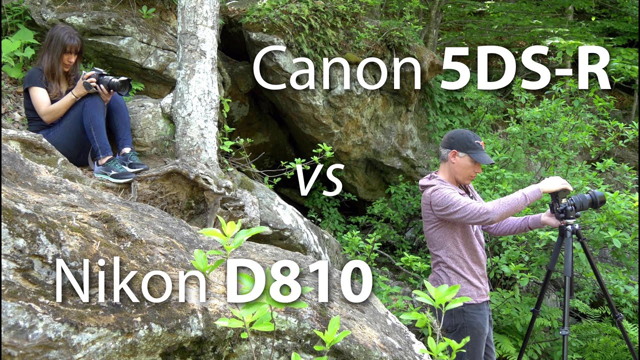 High-Resolution Landscape Cameras Put to the Test: What Actually Matters in the Field