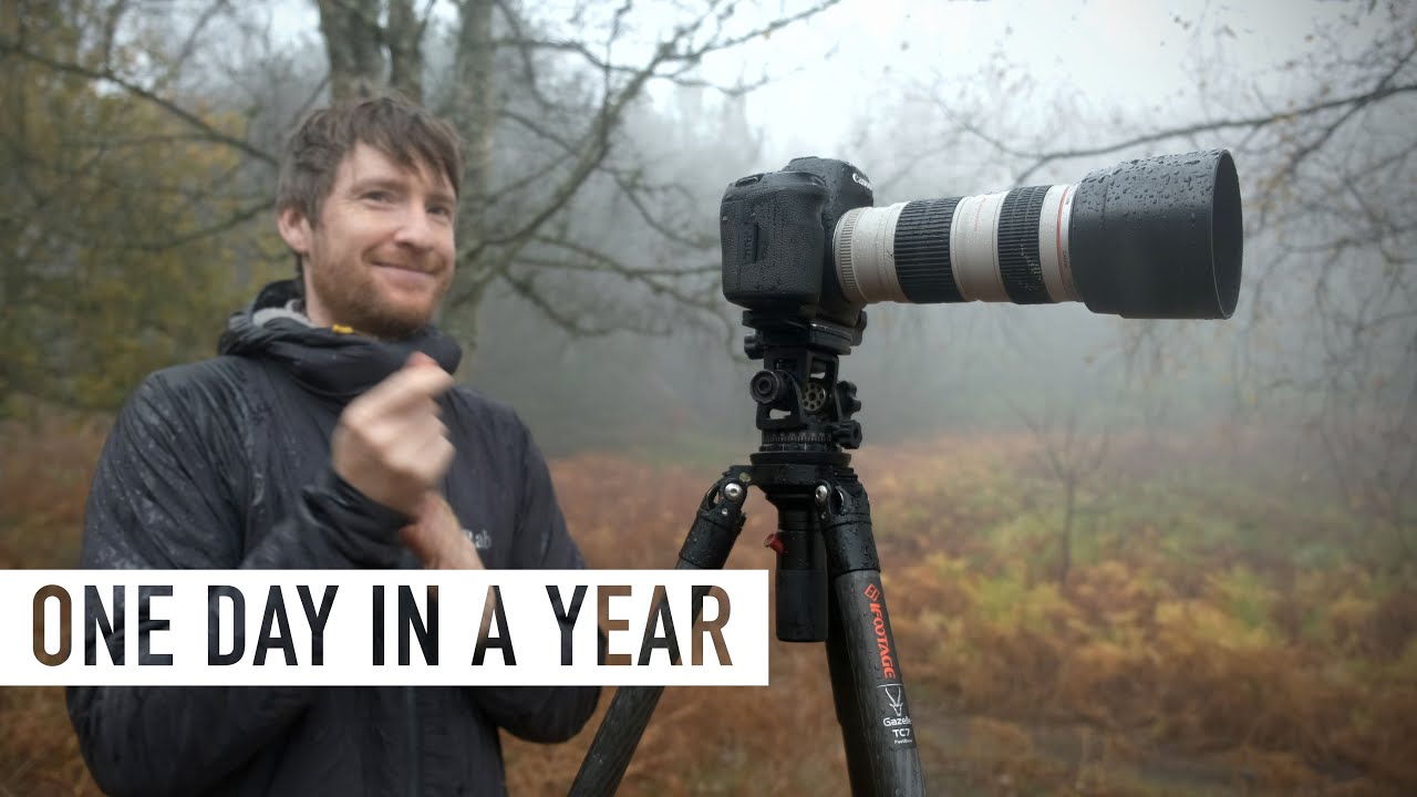 Keep Your Camera Ready: Thomas Heaton's Field Lessons for Shooting Misty Autumn Woodland