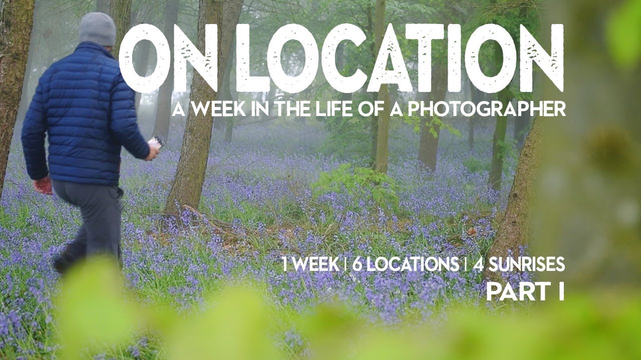 One Week, One Subject: What Bluebell Season Taught Me About Slowing Down