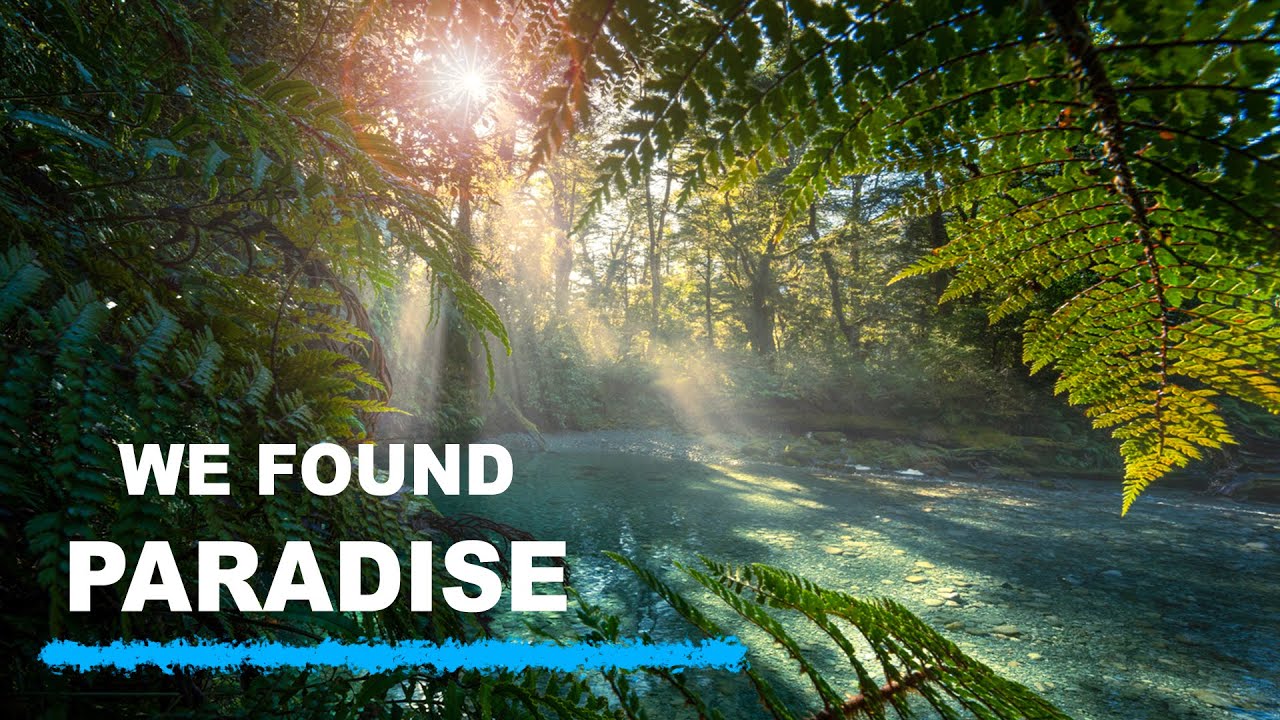 Paddle In, Shoot Blind: What Chasing an Unmapped Waterfall Teaches You About Landscape Photography