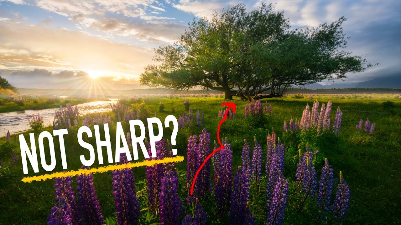 Sharp Front to Back: A Working Photographer's Guide to Focus Placement in Landscape Photography