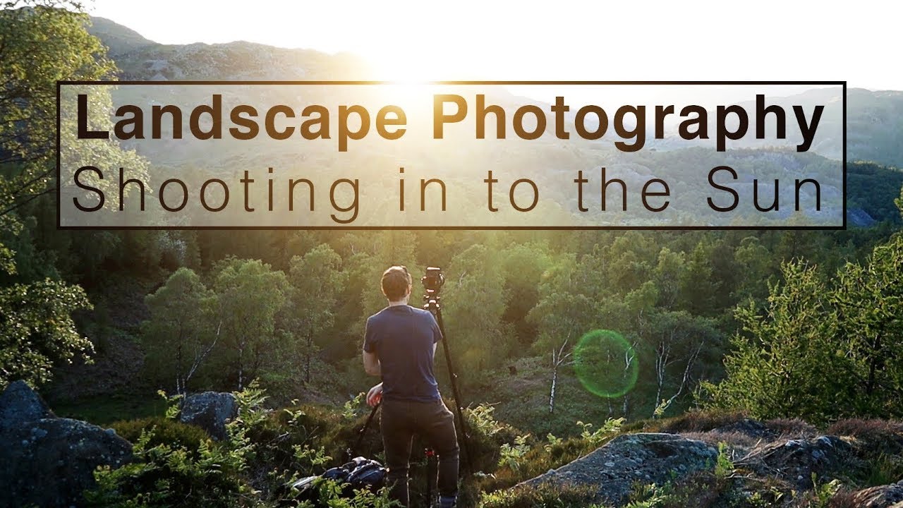 Shooting Into the Sun: A Field Guide to Backlit Landscape Photography