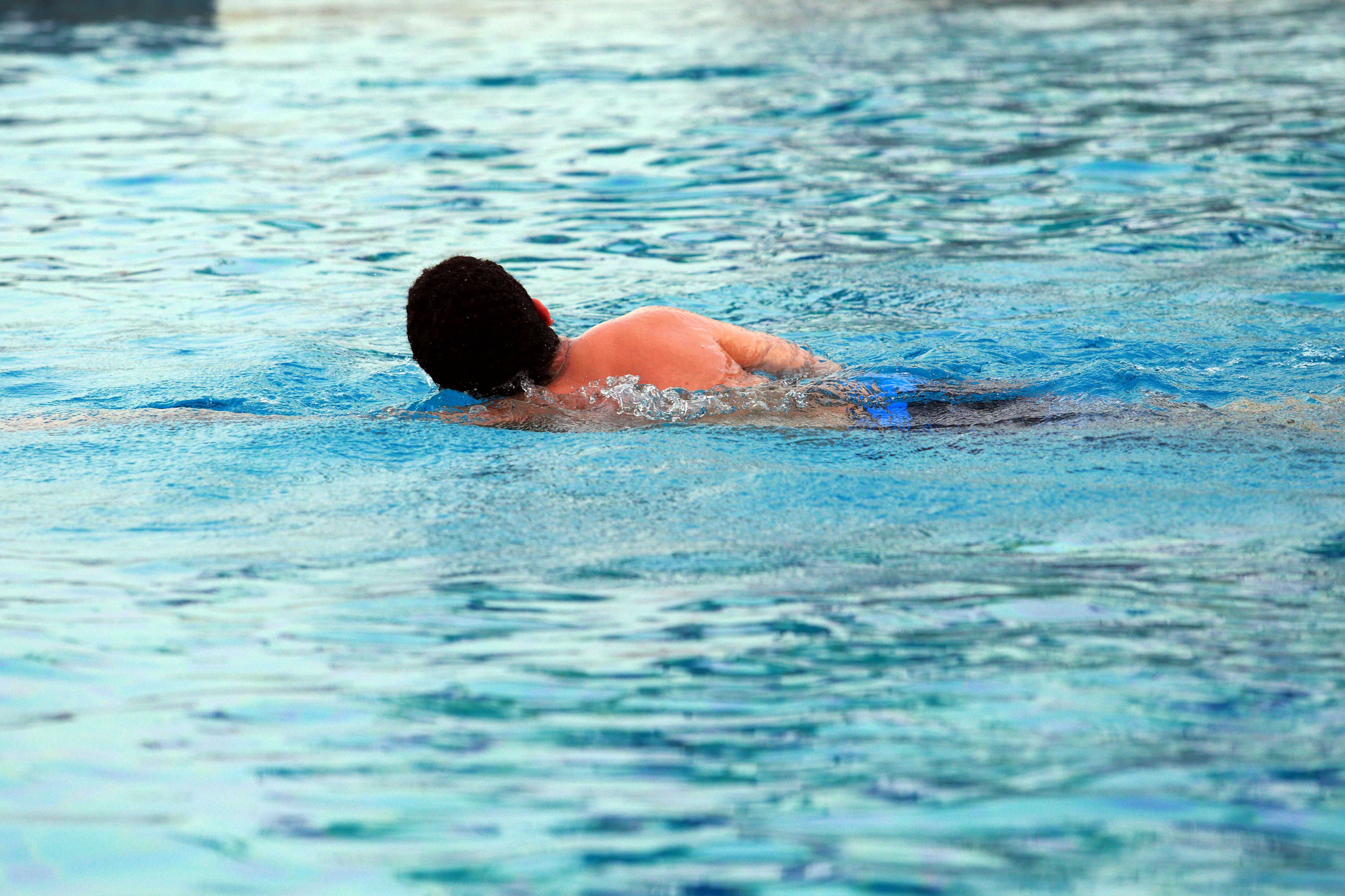 Swimming With Giants: What TurtleCam Teaches Us About Marine Photography