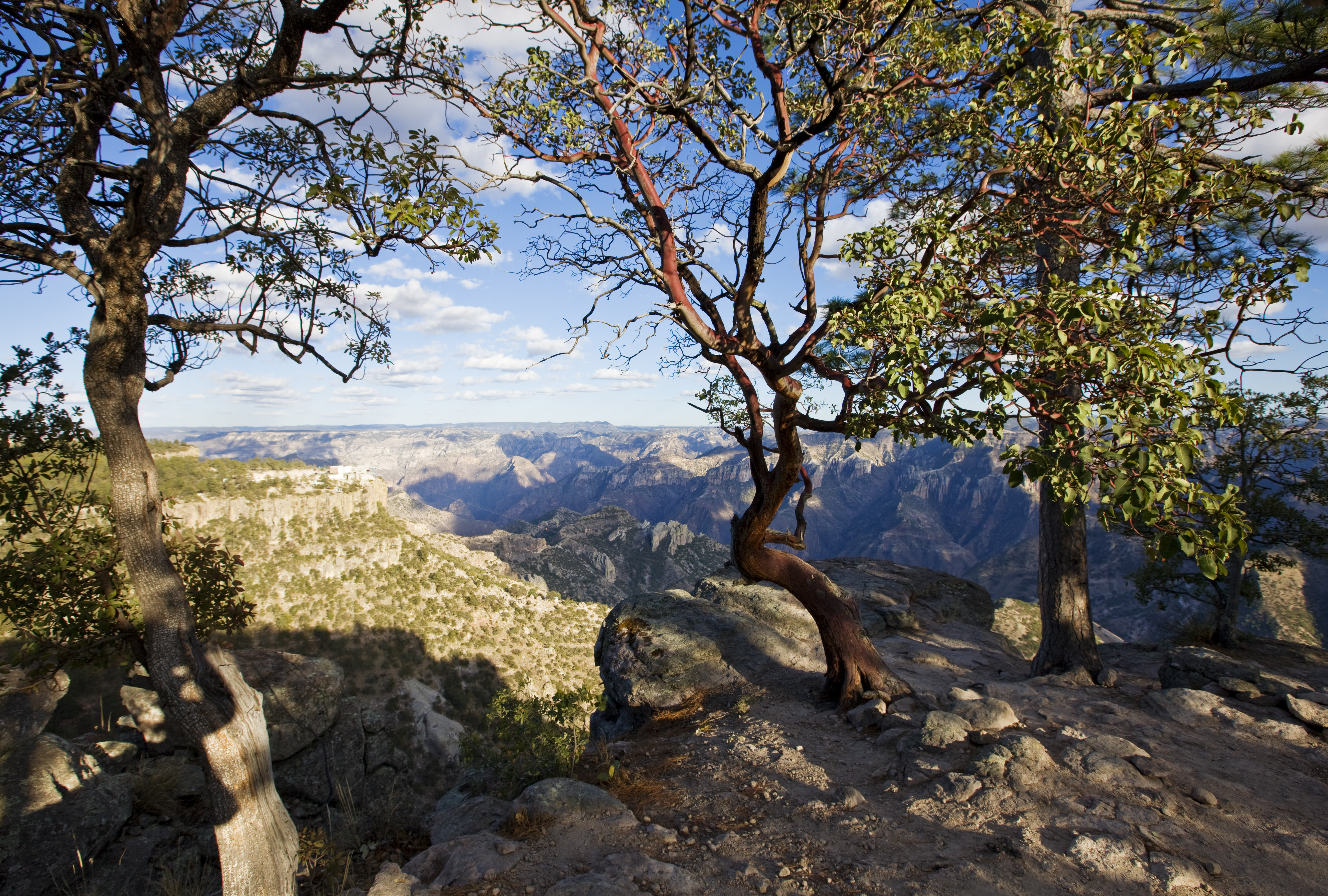 The Hidden Cost of Sharing: Why Landscape Photographers Must Guard Their Secret Spots