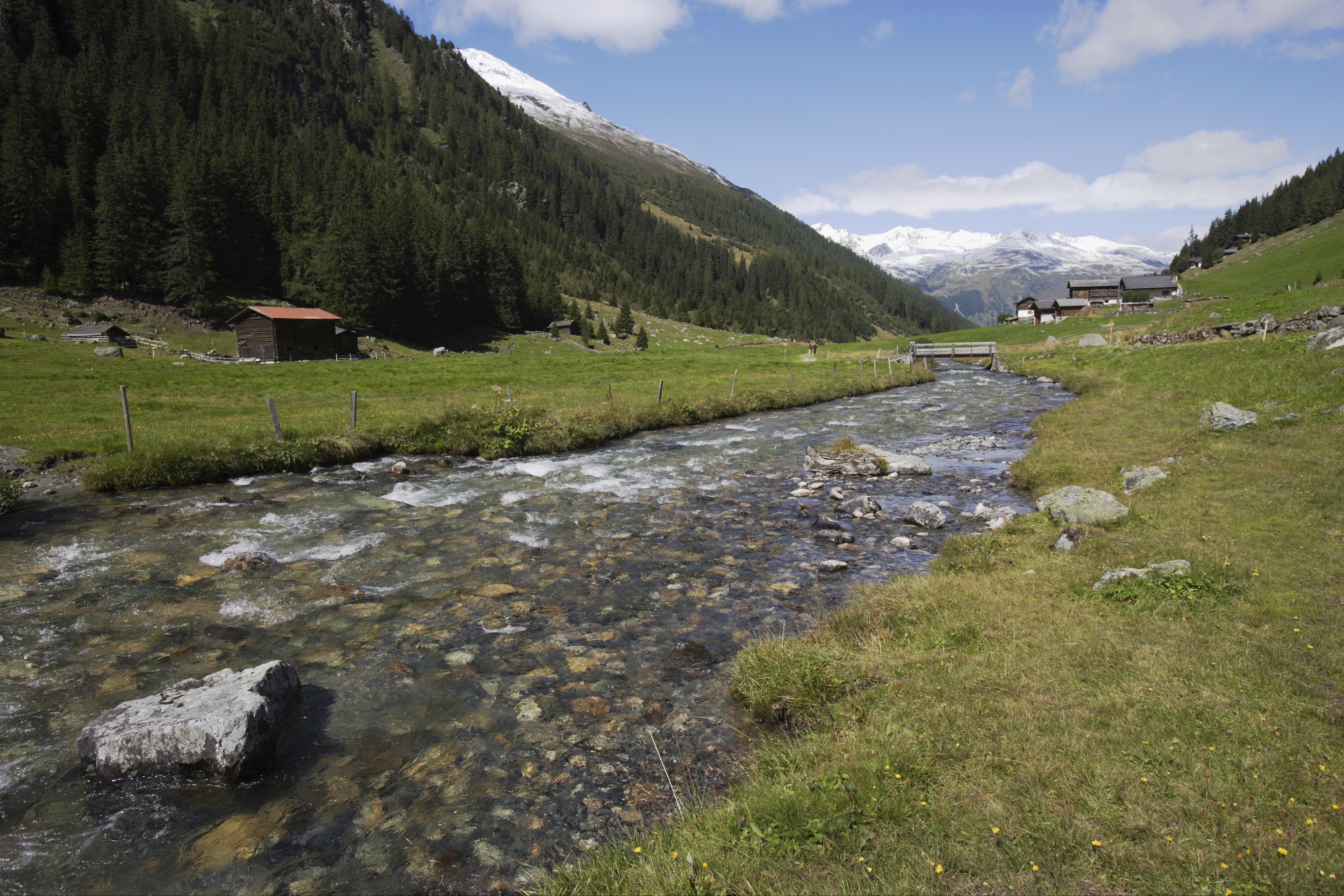 The Silent Language of Lines: Mastering Landscape Composition in the Field