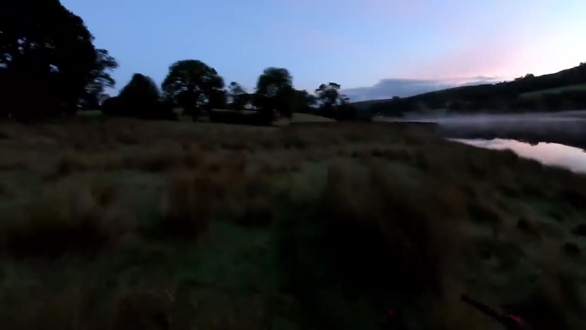 Heaton walking along lakeside edge through tall grass and nettles