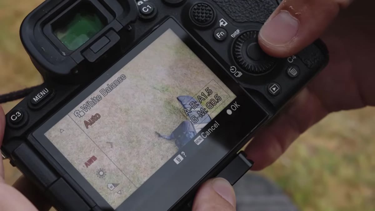White balance menu setting highlighted on camera screen