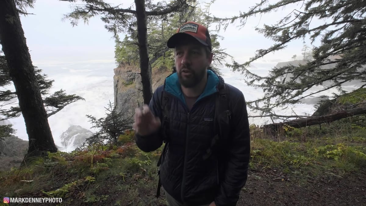 Walking into old-growth forest with pockets of coastal fog remaining
