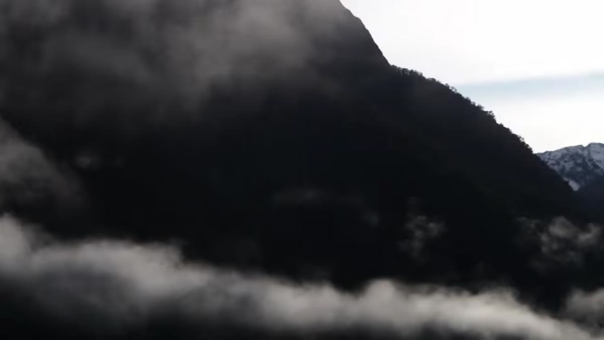 Patino pivoting to the opposite direction, lone tree visible in mist