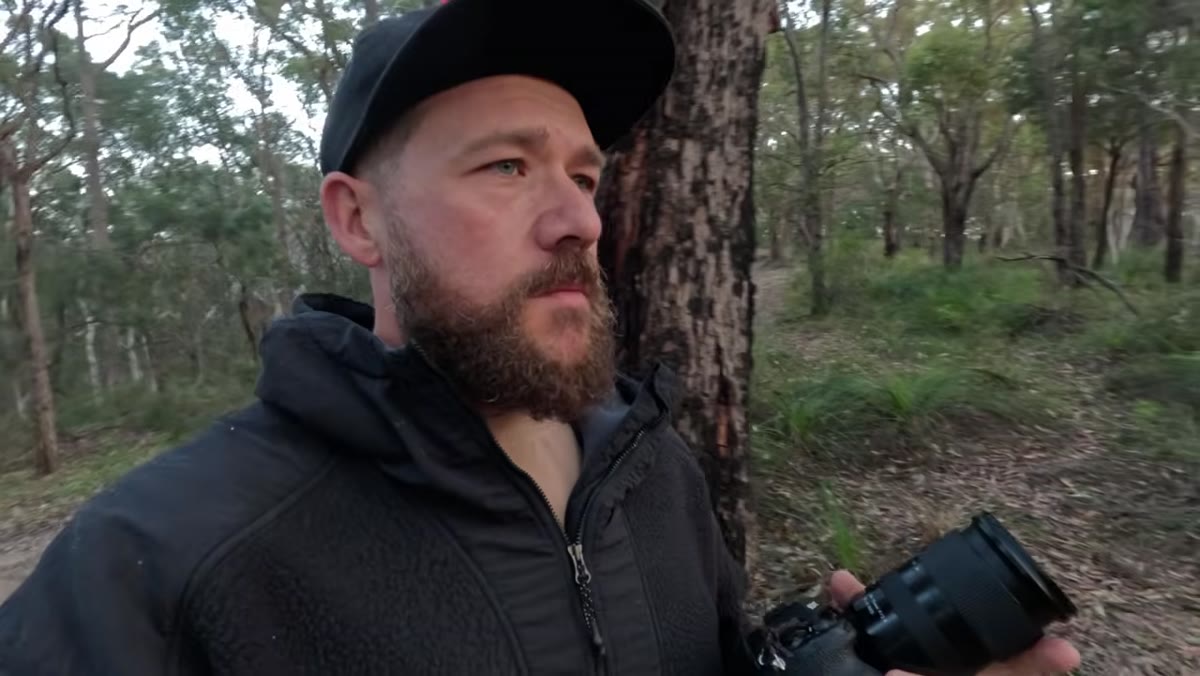 Camera tilted down toward forest floor avoiding bright sky gaps