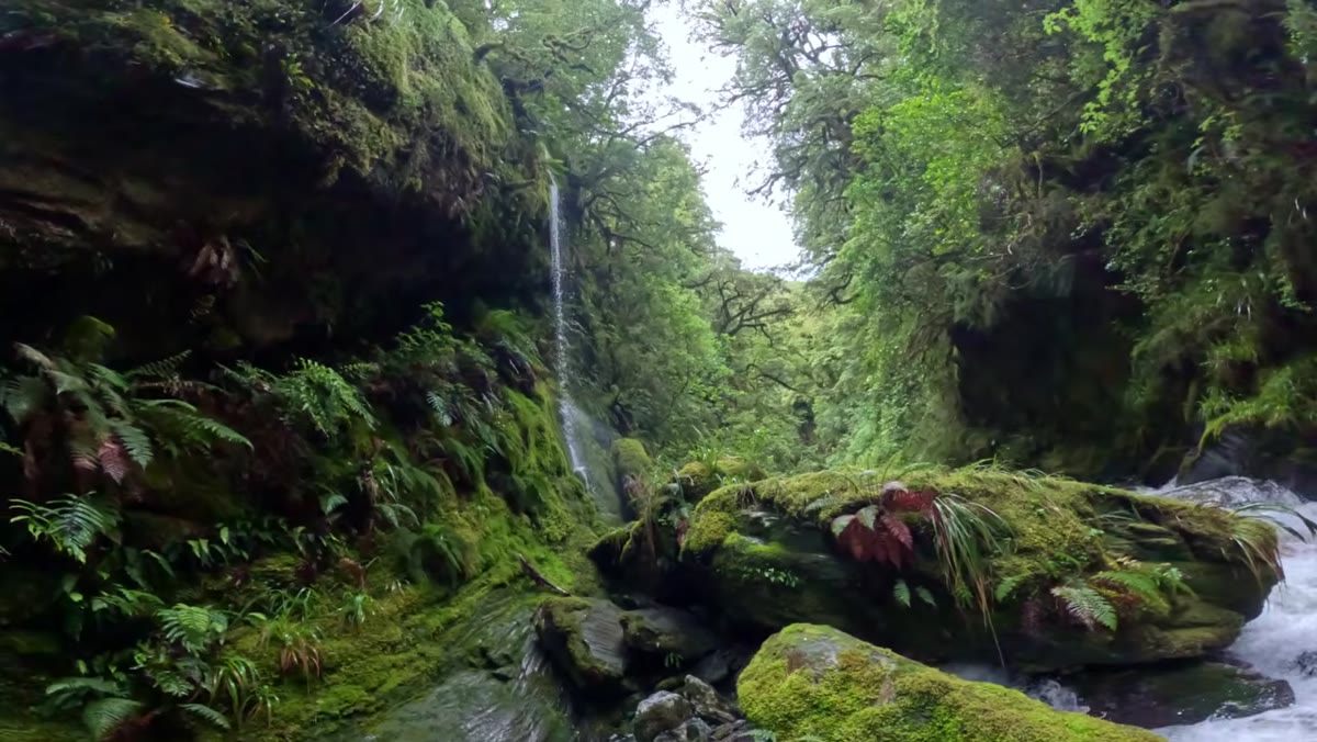 Water emerging from rock wall, obstructed foreground blocking natural eye flow