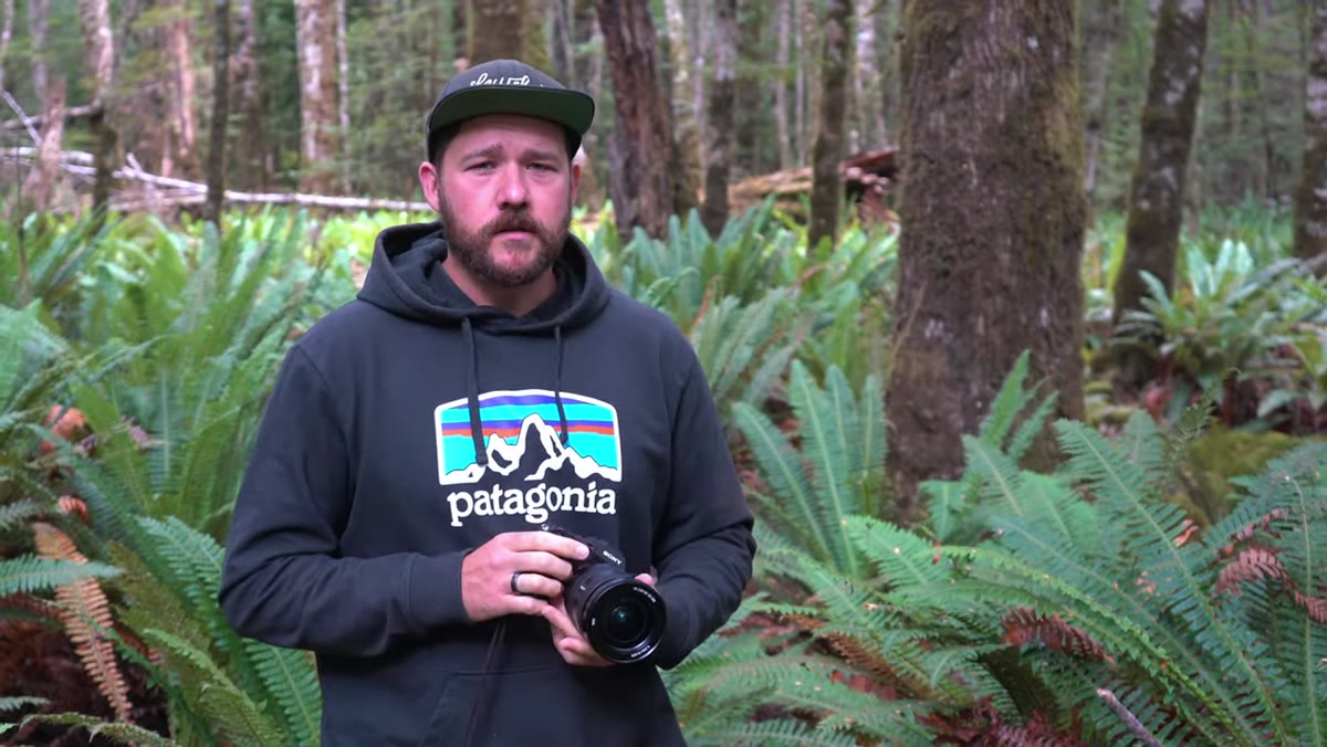 Handheld camera demonstration at slow shutter speeds in forest