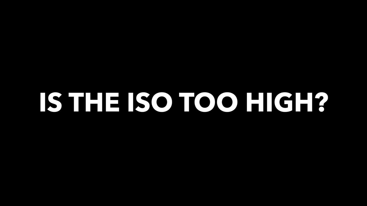 ISO noise impact on image clarity discussed in forest setting