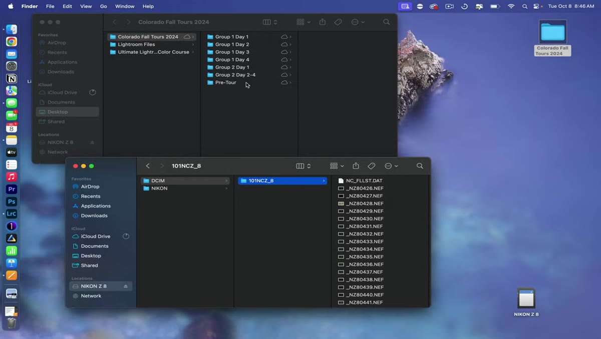 caption: Subfolders labeled by group and day number inside main folder
