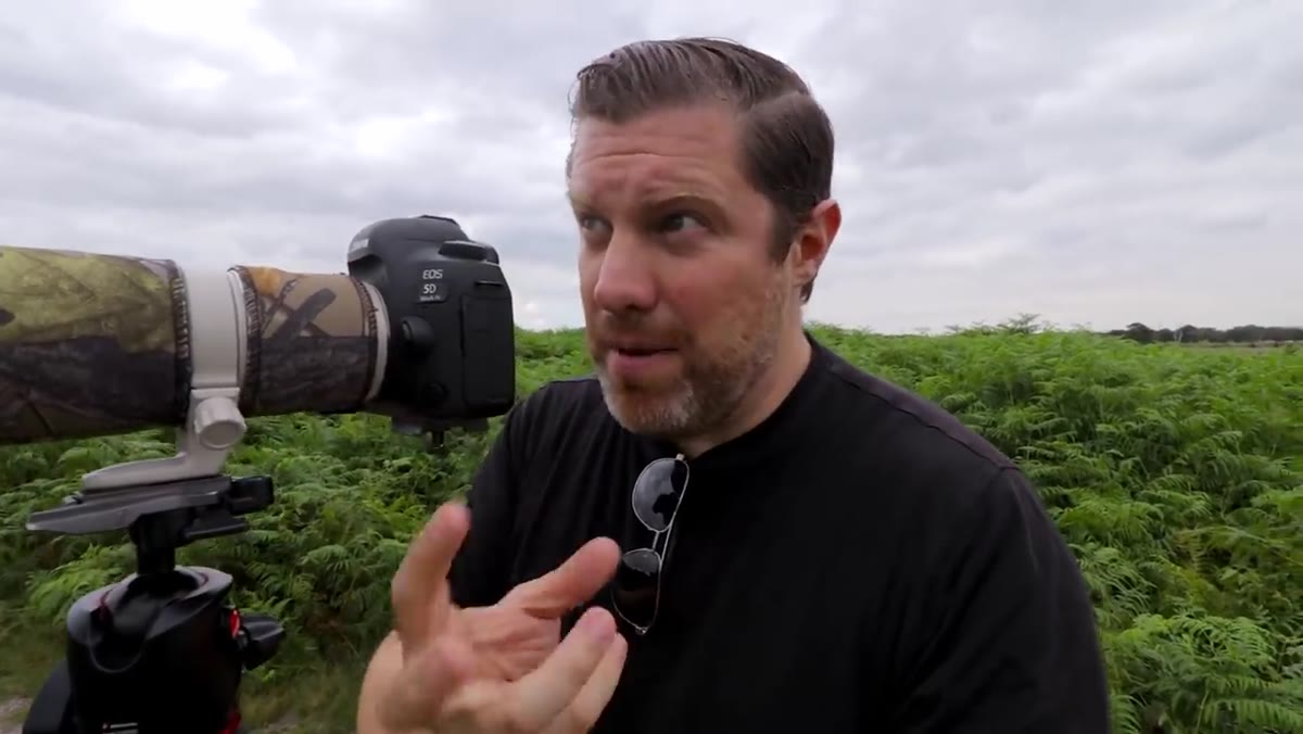 Camera set to AI Servo continuous autofocus mode