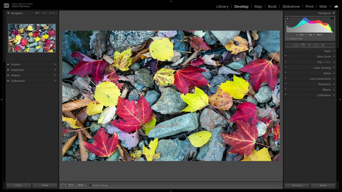 Shift-key magnifying glass cursor demonstrated on canvas