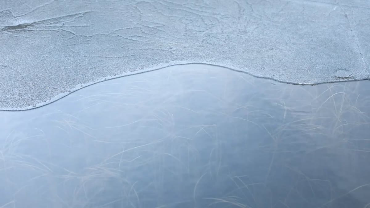 Polarizer on lens, removing glare to reveal underwater grass detail