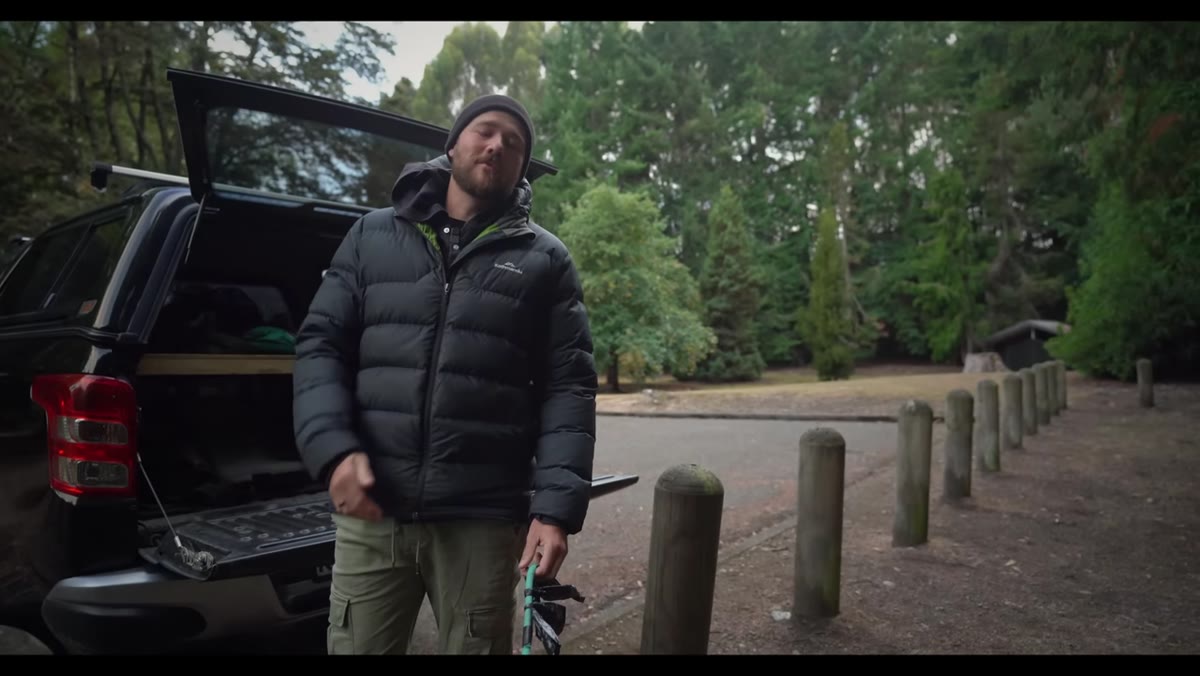 Overcast morning sky above park treeline