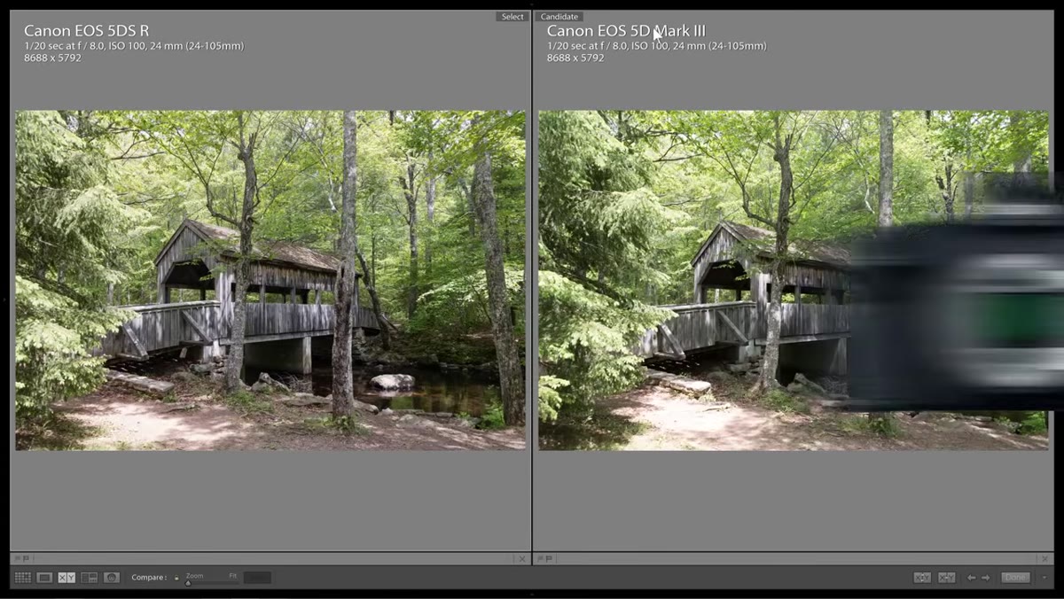 Side-by-side comparison of 5DS R and 5D Mark III detail crop