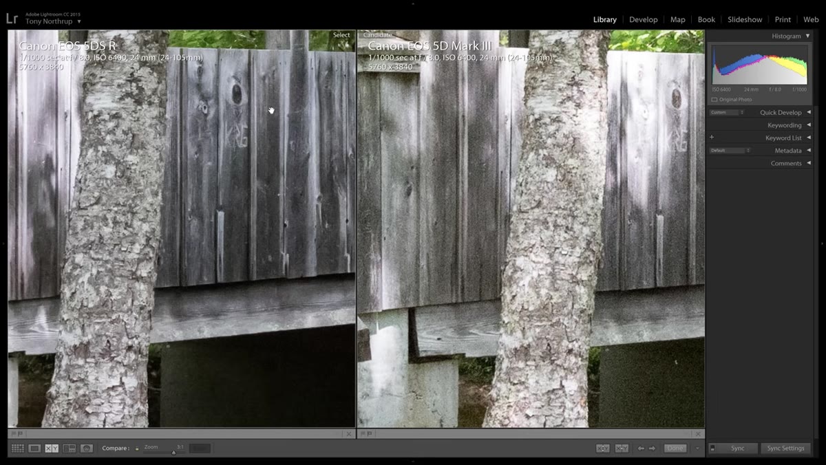 Noise reduction slider raised in Lightroom on 5DS R file