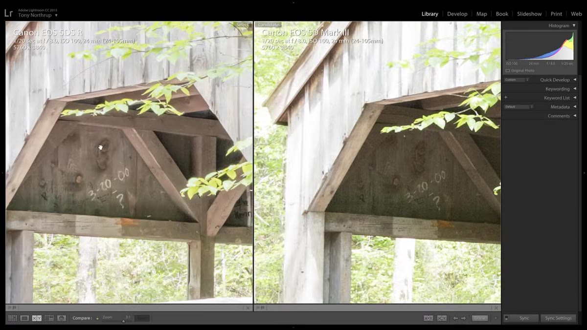 D810 vs 5DS R detail comparison scaled to 50 megapixels