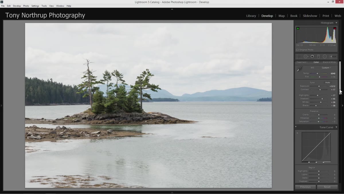 Clarity and vibrance sliders being raised in Basic panel