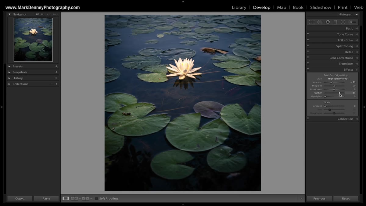 Radial filter drawn around an off-center subject in Lightroom