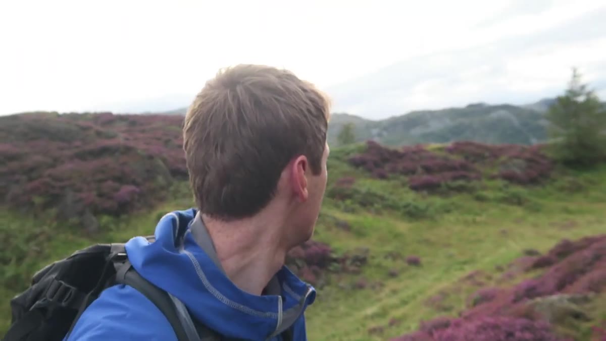 Thomas describing ambient light from the east hitting the silver birch tree