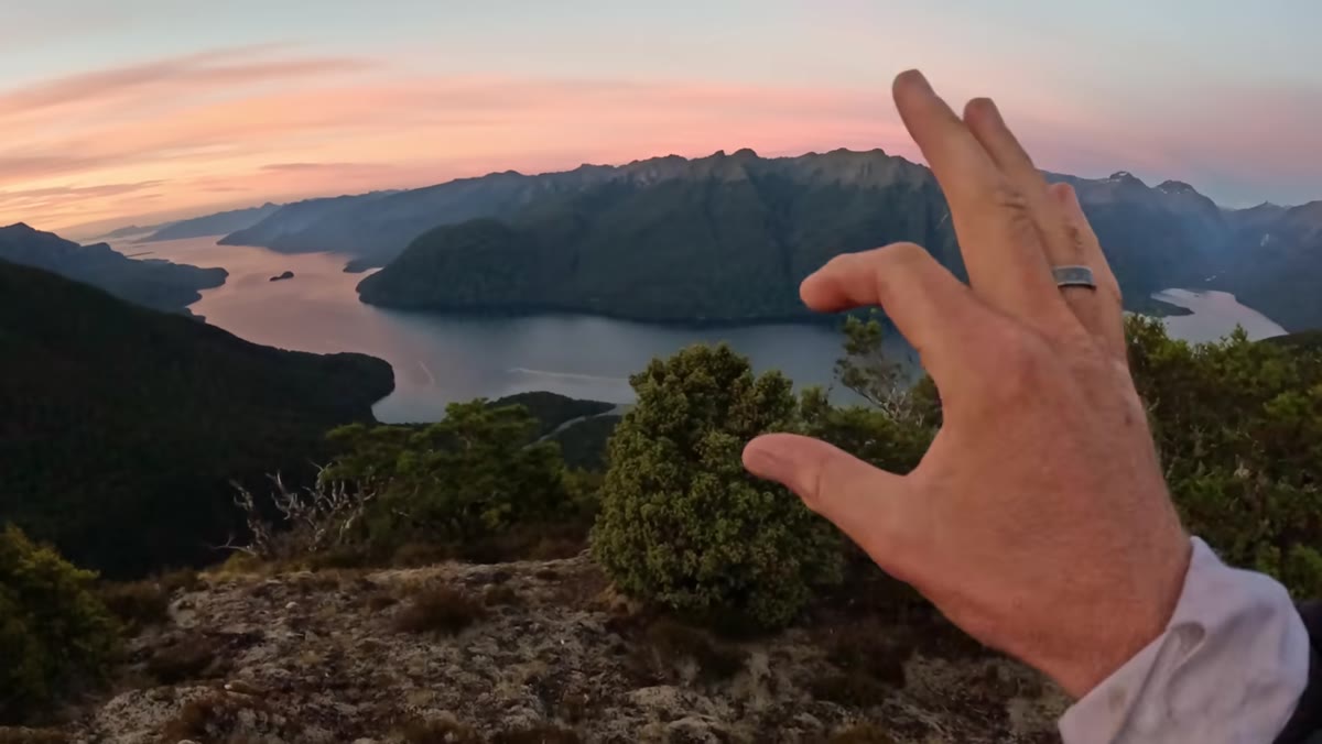 Camera positioned above beech trees with lake visible behind