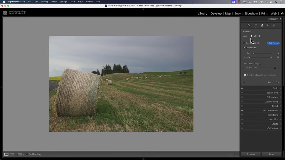 Remove tool active, painting over distraction on left edge of frame