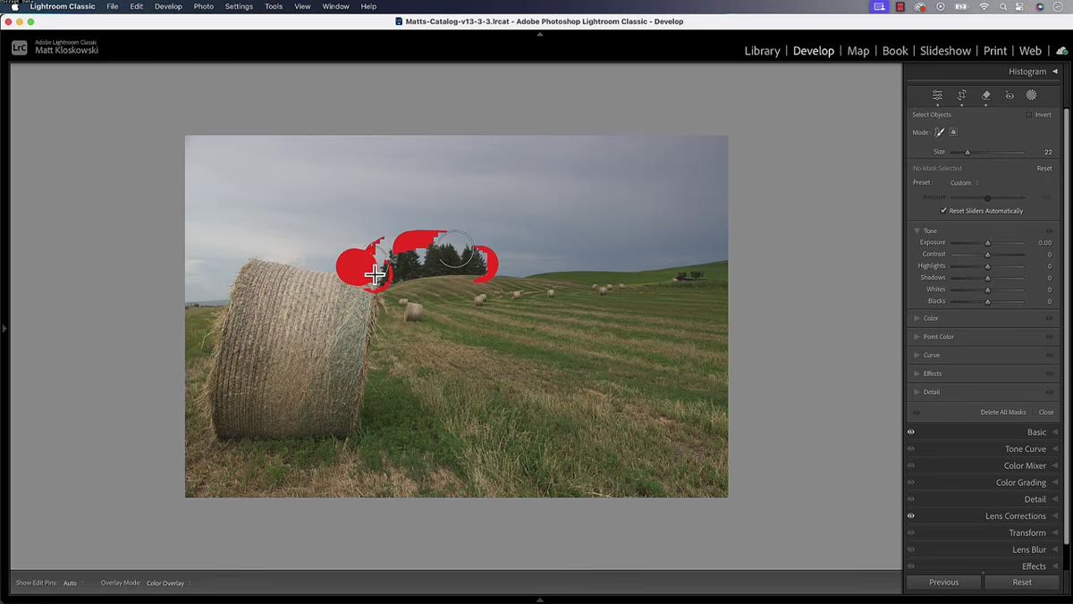 Object selection mask active over tree line in image