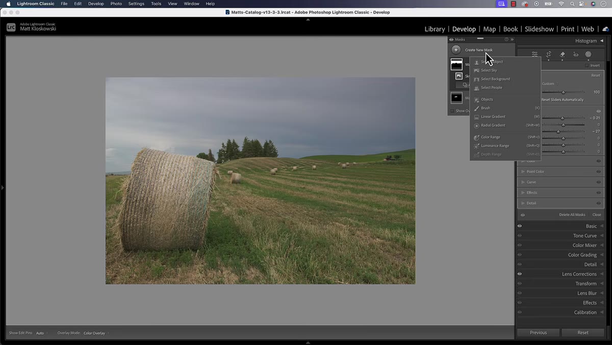Object selection mask covering foreground, duplicate mask created in panel