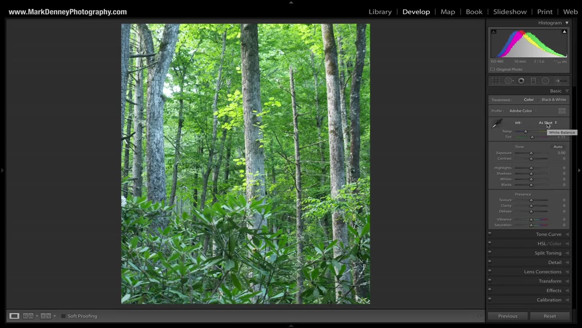 White balance temperature slider being pulled toward cooler tones