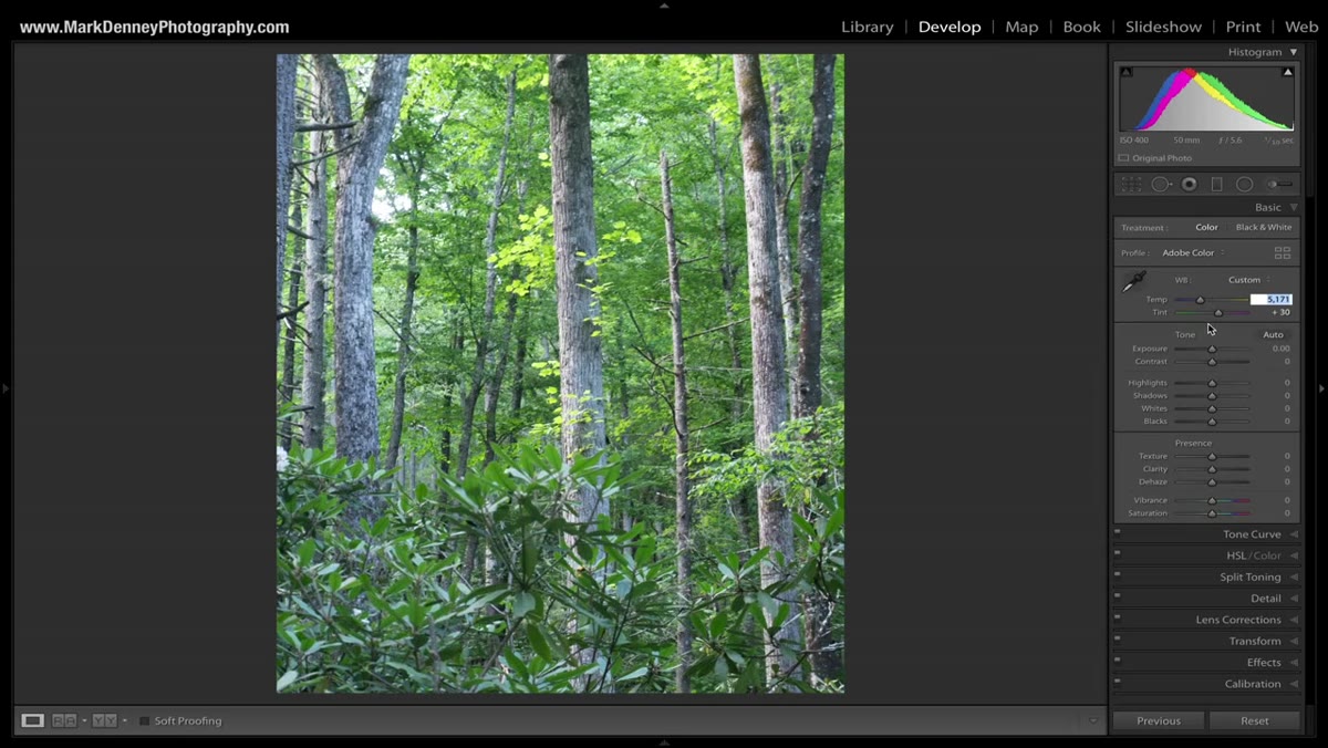 Exposure and tone panel adjustments being applied in Lightroom develop module