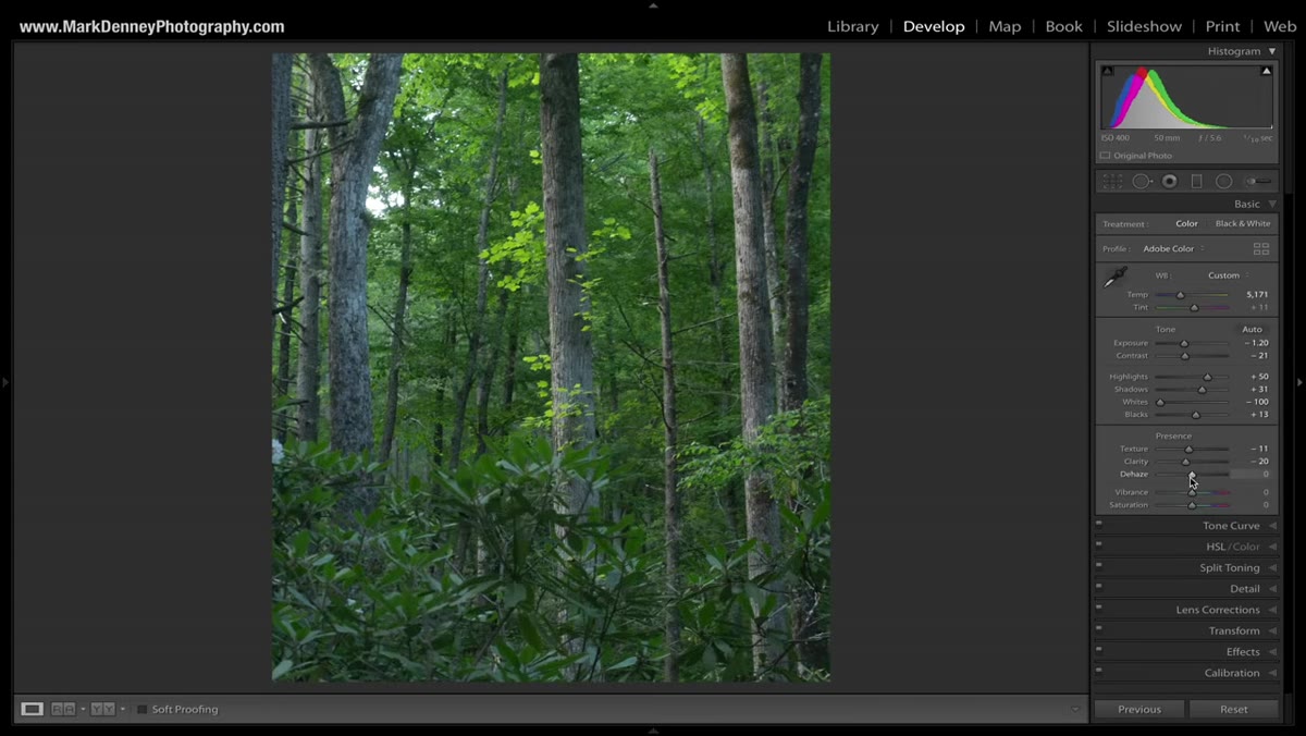 S-curve adjustment on the tone curve panel in Lightroom