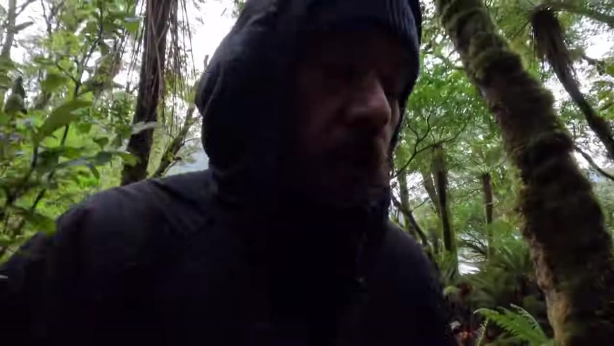 William walking upstream through mossy forest and stream system