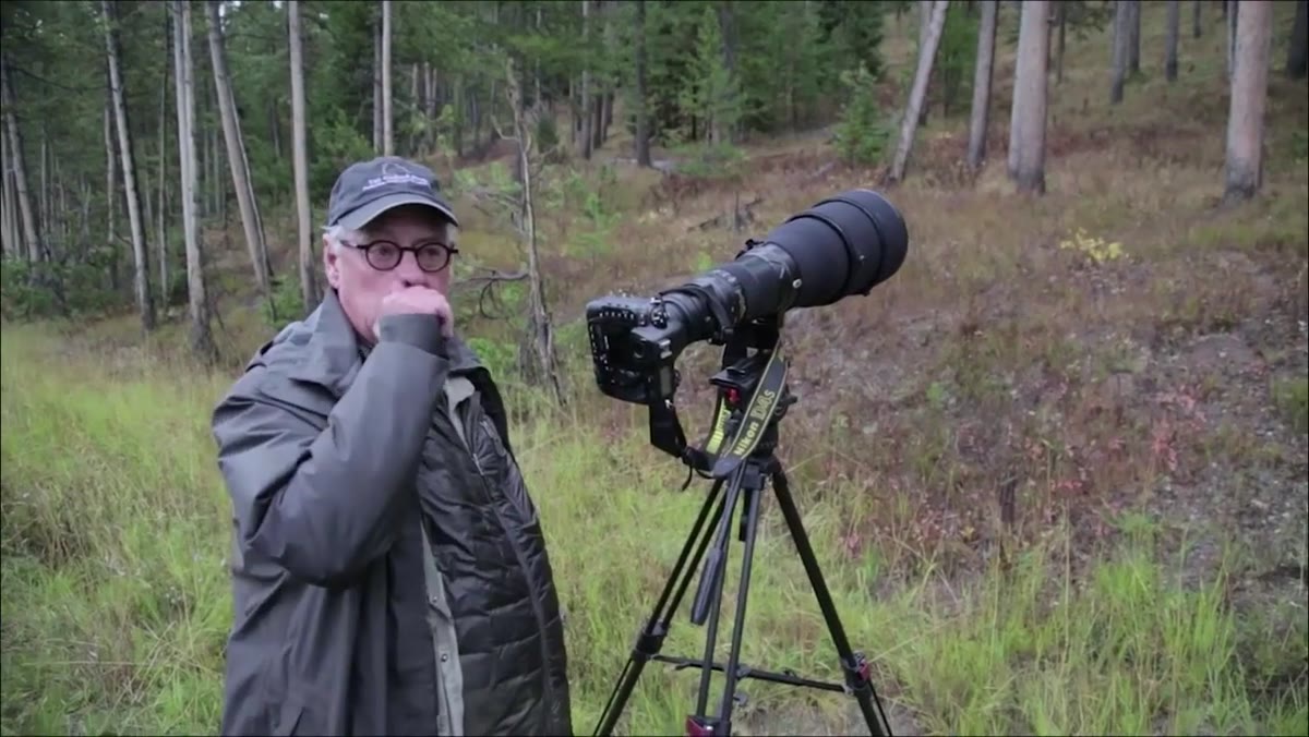 Deciding to leave deer and return after animals possibly reposition
