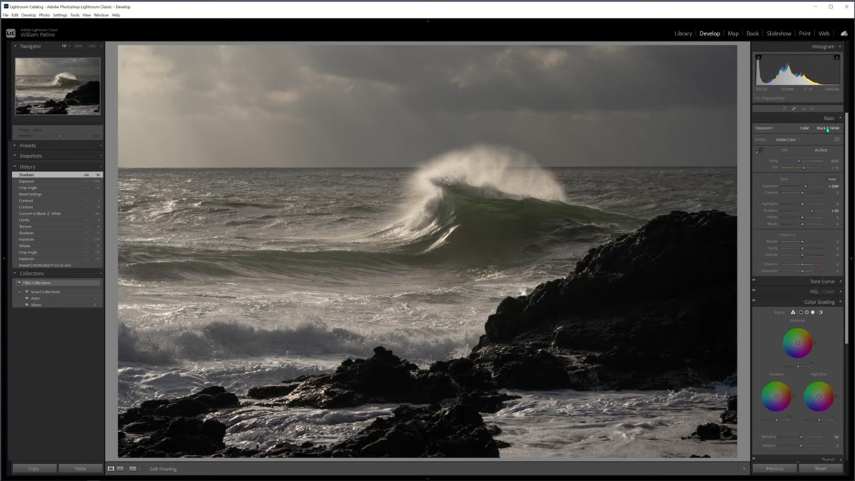 Black and white conversion panel open in Lightroom Develop module