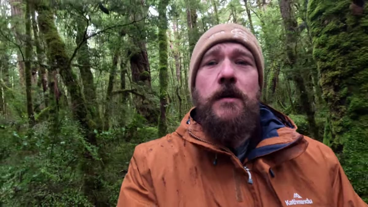 Instructor gesturing at dense rainforest, explaining compositional complexity