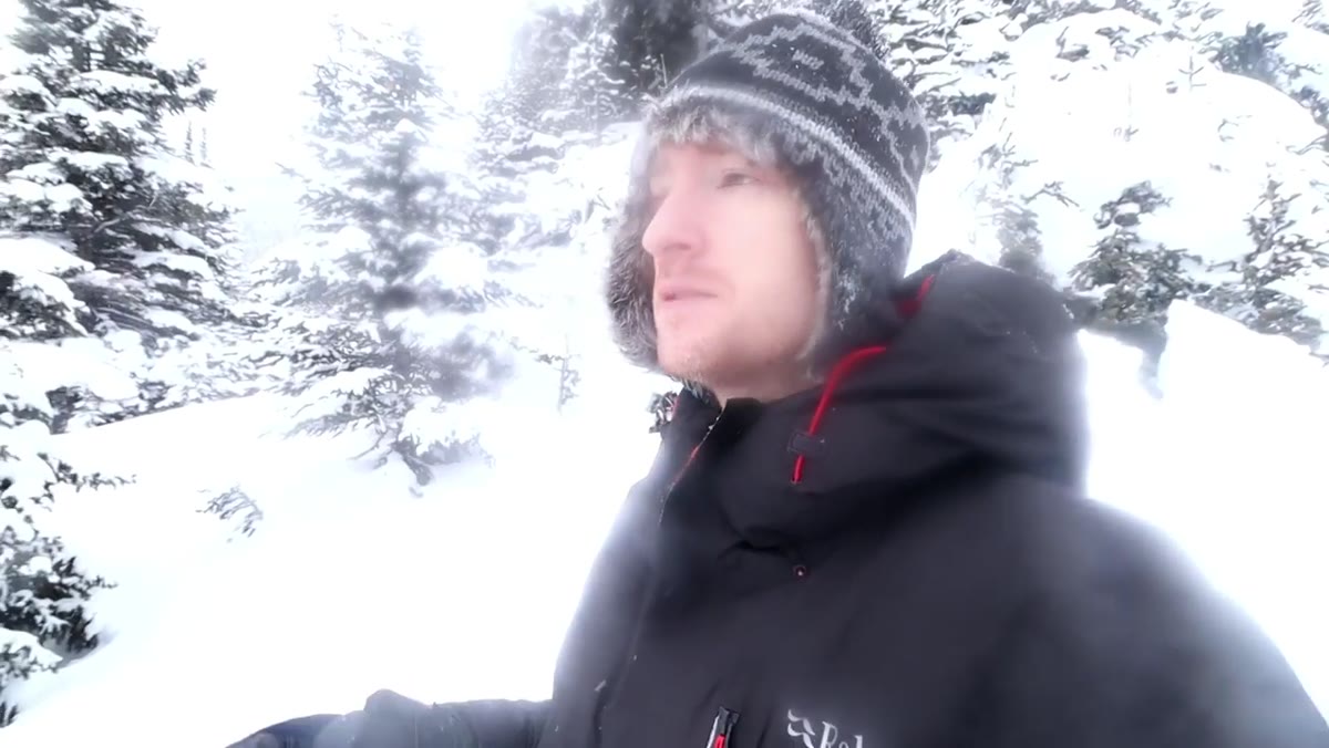 Thomas identifying tree branch creeping into frame edge